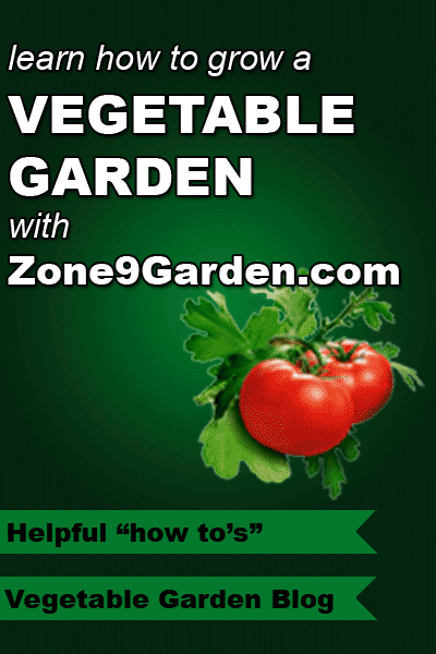 Learn How To Garden In Zone 9