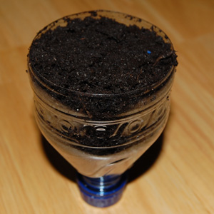 DIY Self-Watering Seedling Container | Vegetable Garden Blog